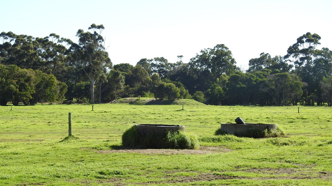 Country House in Forest Grove, Western Australia, Australia 4 - 17635886