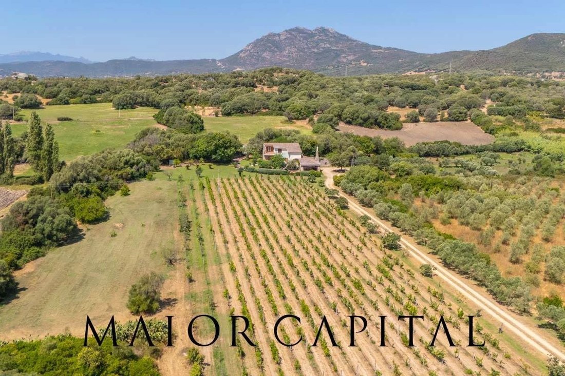 House in Center, Olbia, Italy 5 - 17638466