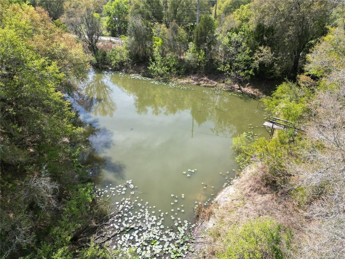 Land in Oxford, Florida, United States 2 - 17635371