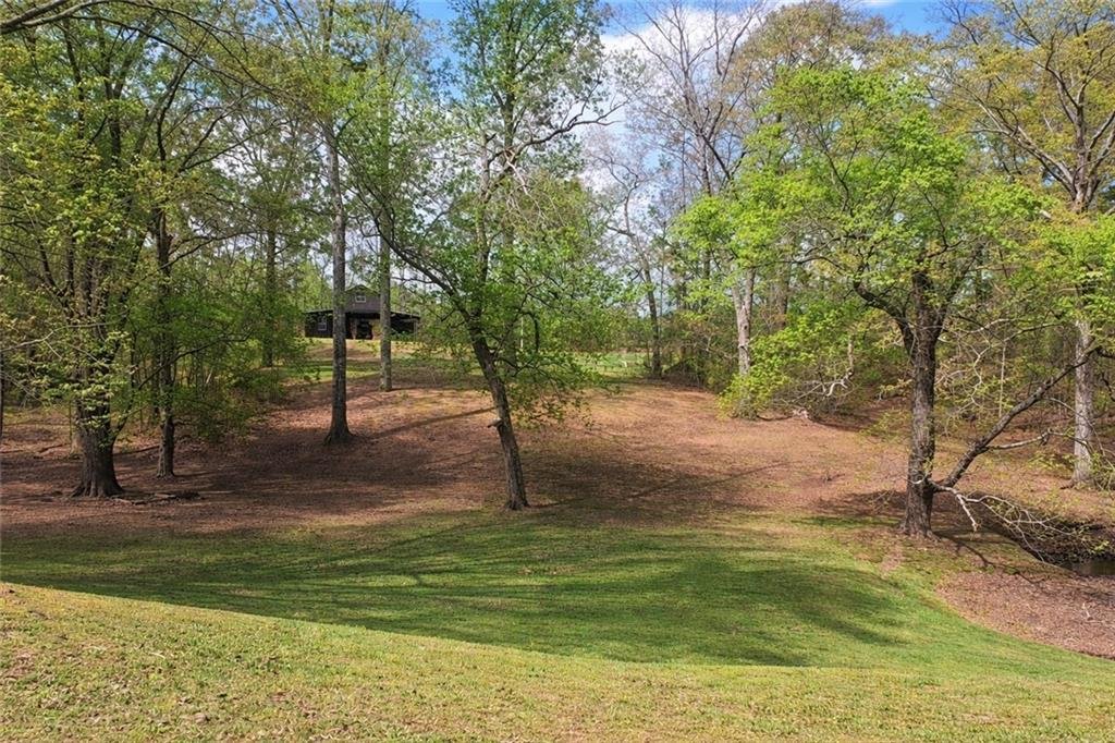 House in Buchanan, Georgia, United States 4 - 17631544