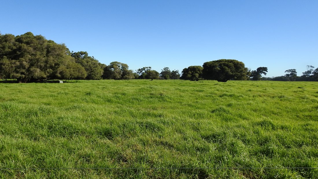 Country House in Forest Grove, Western Australia, Australia 3 - 17635886