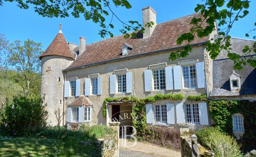 Castle in Châtellerault, Nouvelle-Aquitaine, France 1