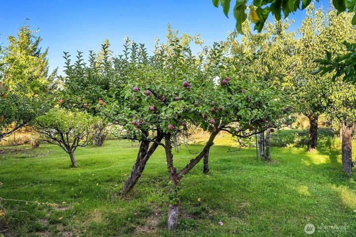 House in Cle Elum, Washington, United States 5 - 17643358