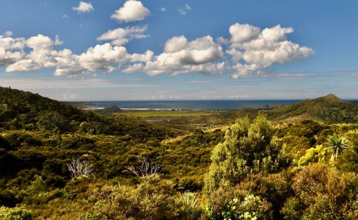 House in Great Barrier Island / Aotea, Auckland, New Zealand 1
