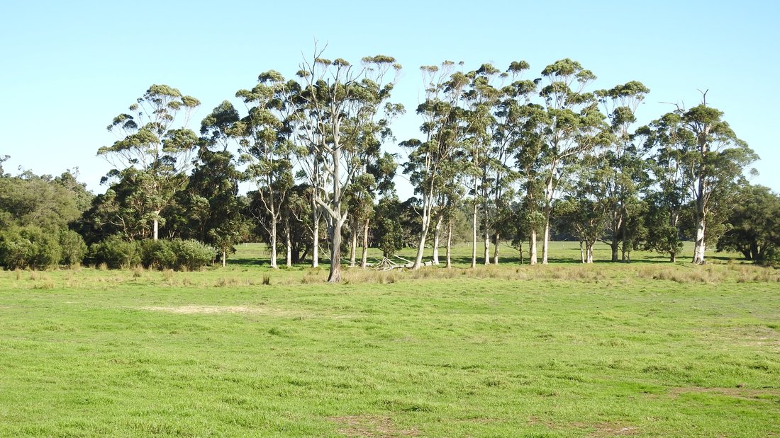 Country House in Forest Grove, Western Australia, Australia 5 - 17635886