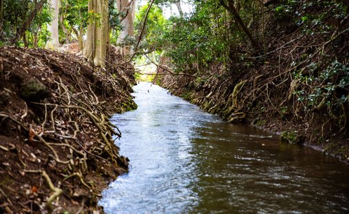 Land in Wailuku, Hawaii, United States 1
