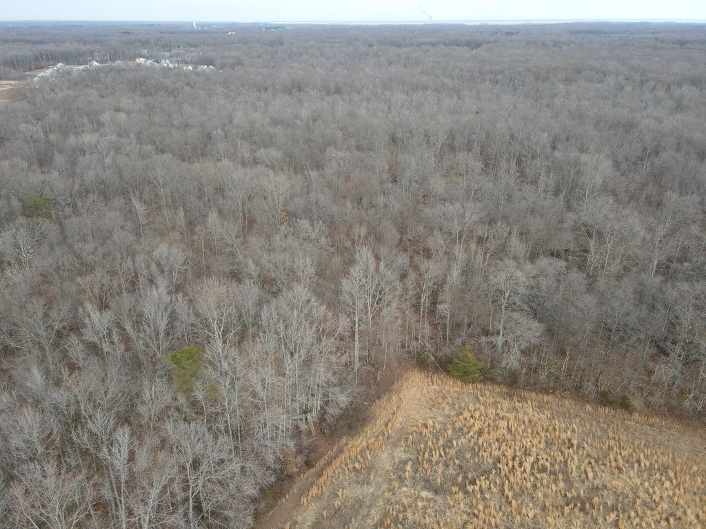 Land in Townsend, Delaware, United States 5 - 17637023