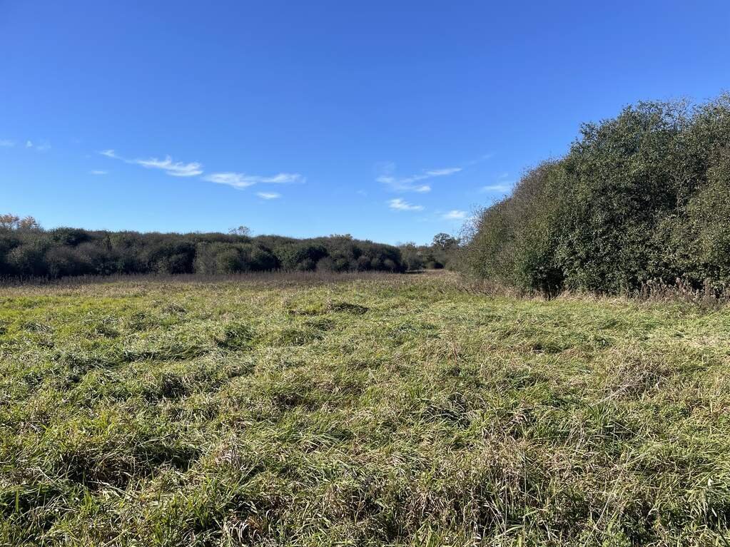 Land in Crystal Lake, Illinois, United States 2 - 17636938