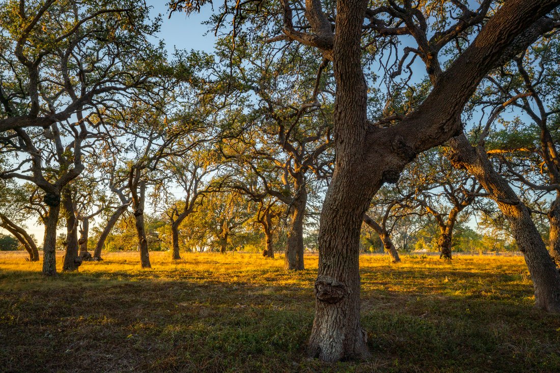 Land in Bandera, Texas, Vereinigte Staaten 1 - 17639518