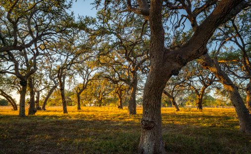 Terrain à Bandera, Texas, États-Unis 1