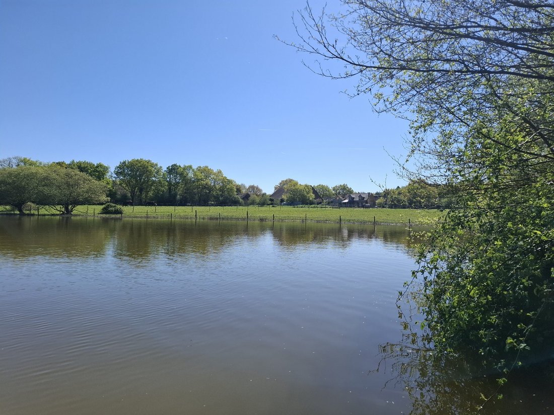 House in Riaille, Pays de la Loire, France 2 - 17635003