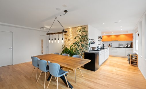 House in Schlieren, Zurich, Switzerland 1