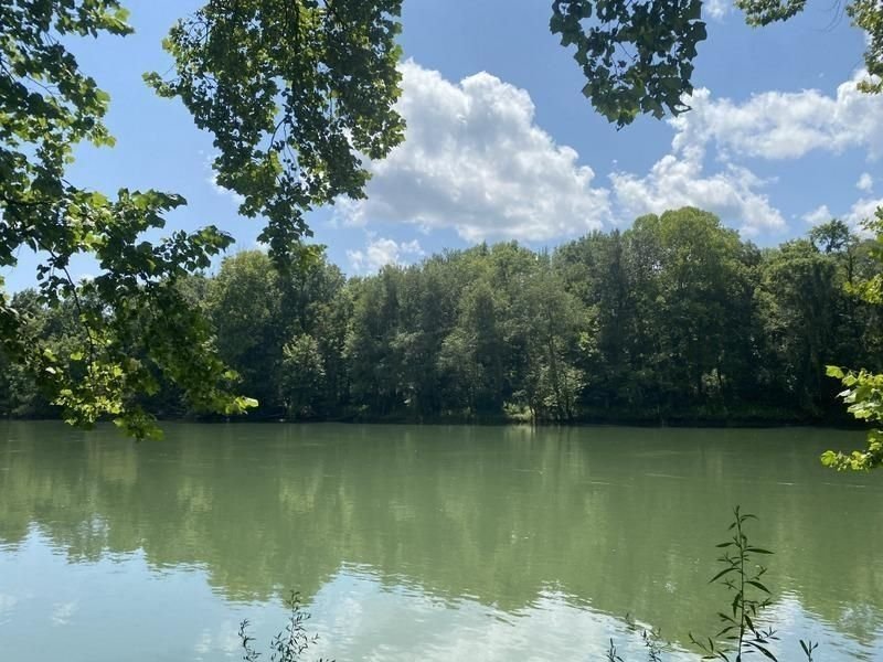 Land in Grider, Kentucky, United States 4 - 17635979