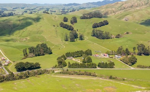 Country House in Eketāhuna, Manawatu-Wanganui, New Zealand 1