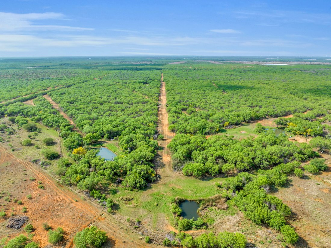 Farm Ranch in Cotulla, Texas, United States 5 - 17638415