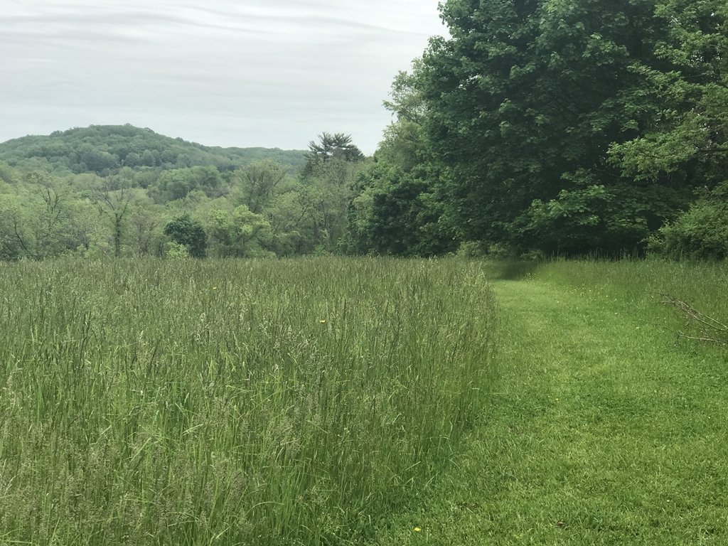Land in Chadds Ford, Pennsylvania, United States 5 - 16578915