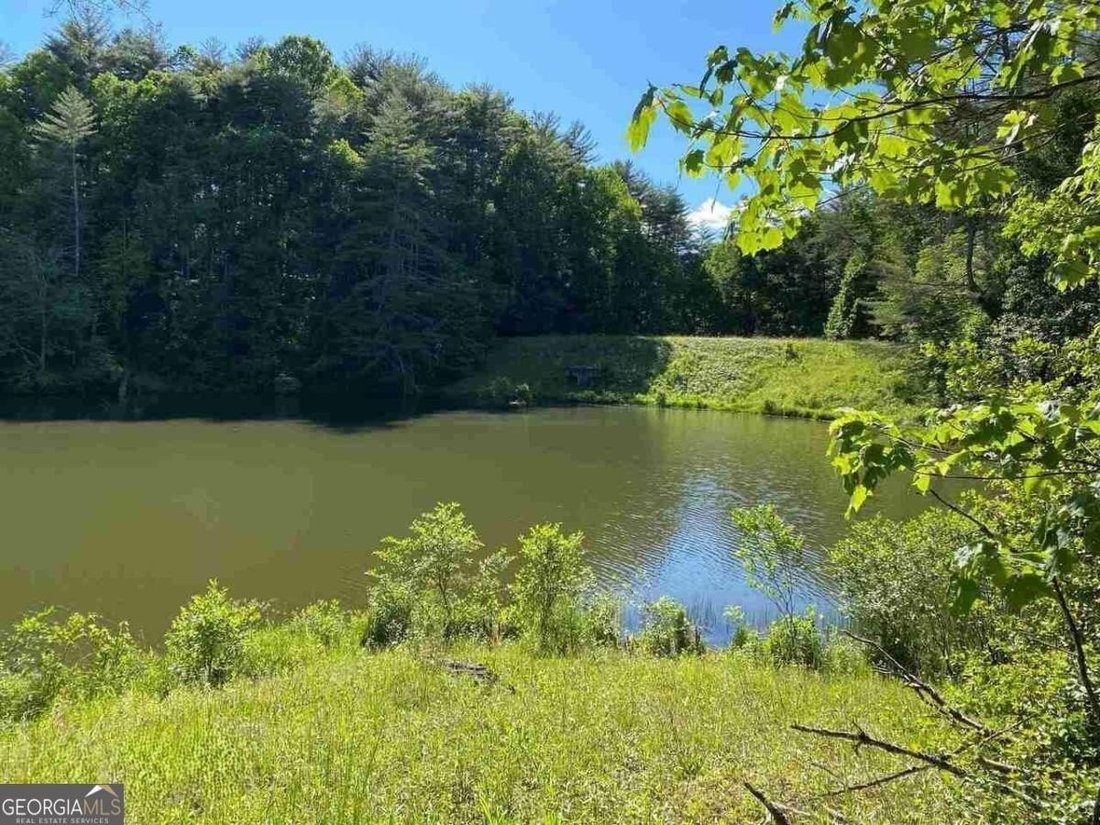 Land in Clarkesville, Georgia, United States 3 - 17635745