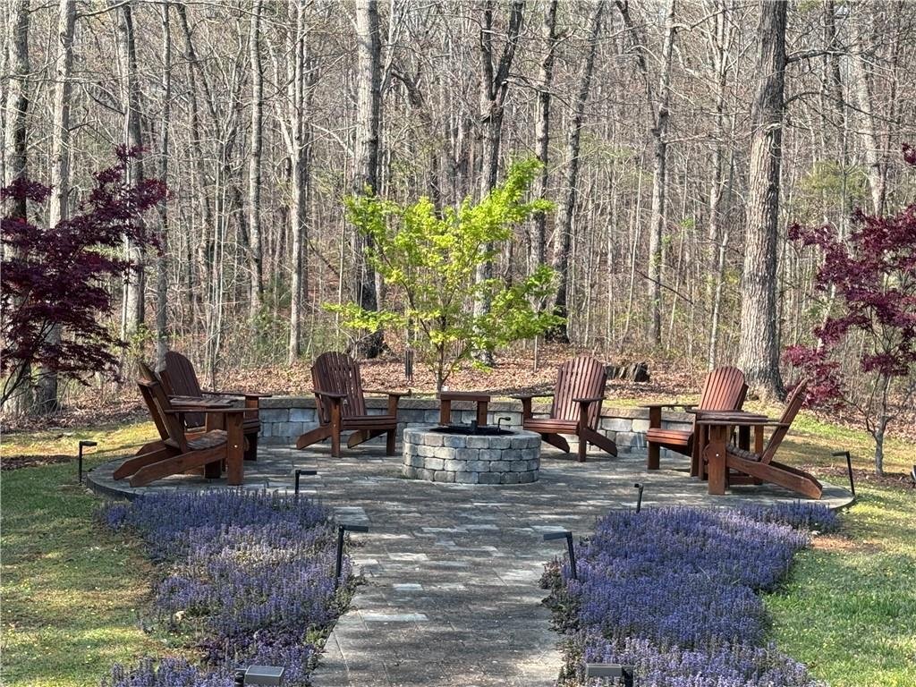 House in Ellijay, Georgia, United States 3 - 17305491