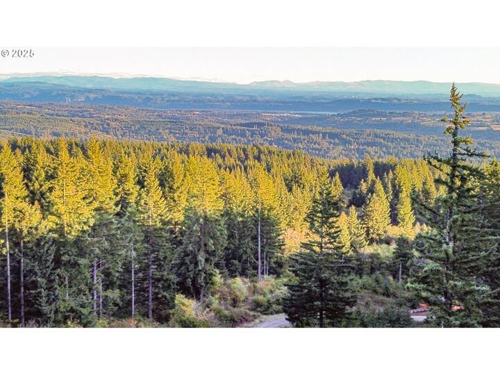 Haus in Camas, Washington, Vereinigte Staaten 5 - 17635450