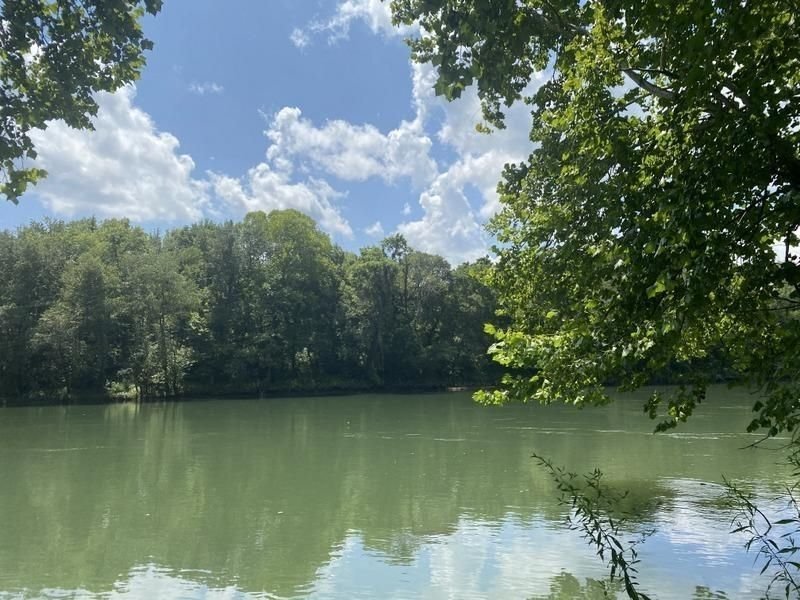 Land in Grider, Kentucky, United States 3 - 17635979