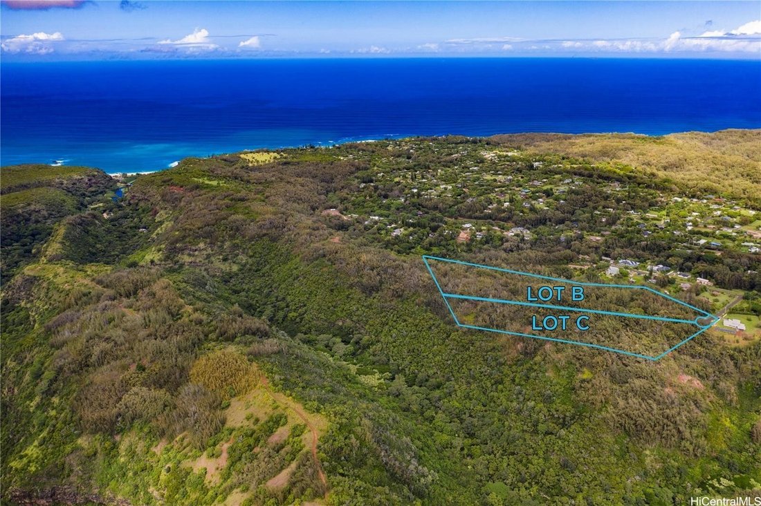 Land in Haleiwa, Hawaii, United States 3 - 17637896