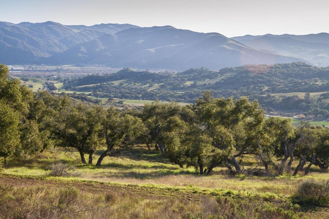 Land in Buellton, California, United States 1 - 14539578