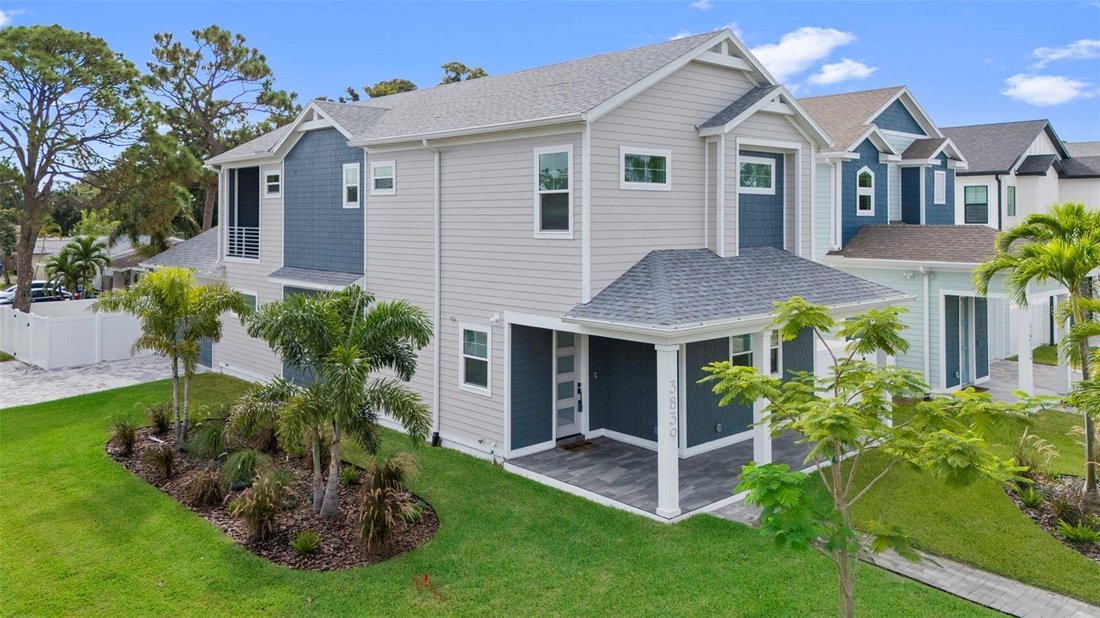 House in St. Petersburg, Florida, United States 3 - 17632817