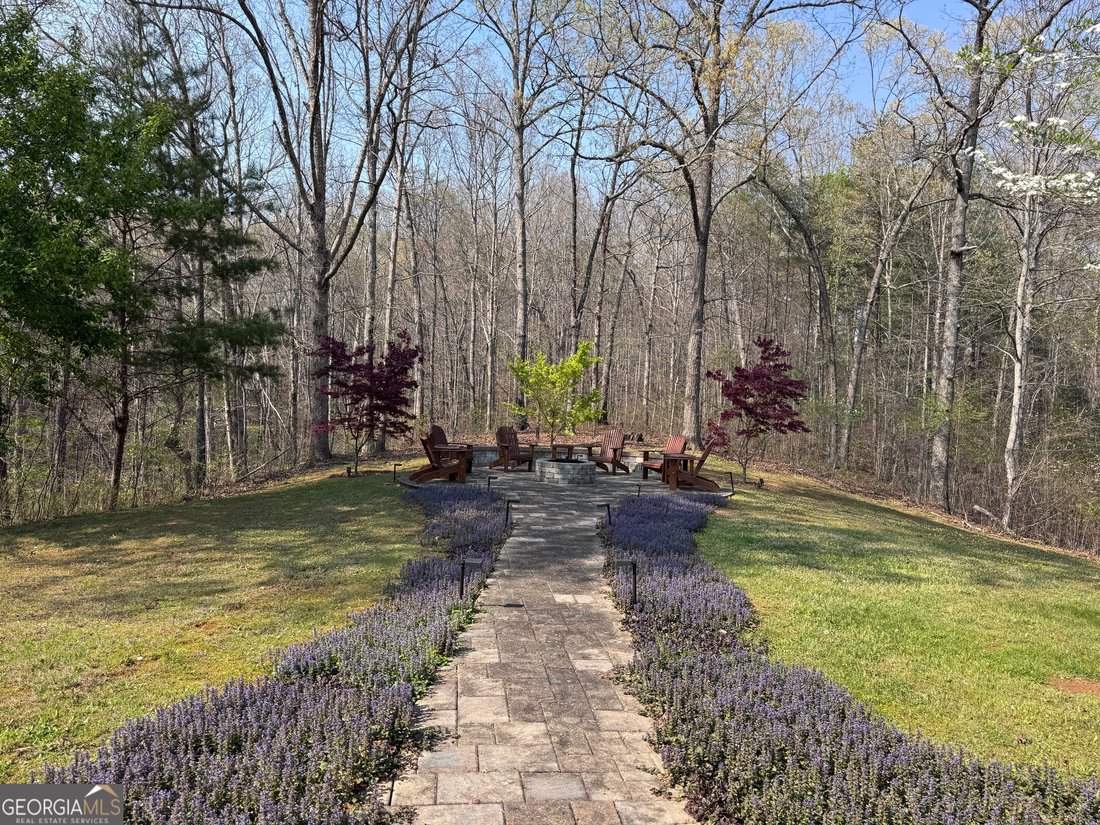 House in Ellijay, Georgia, United States 3 - 17305595