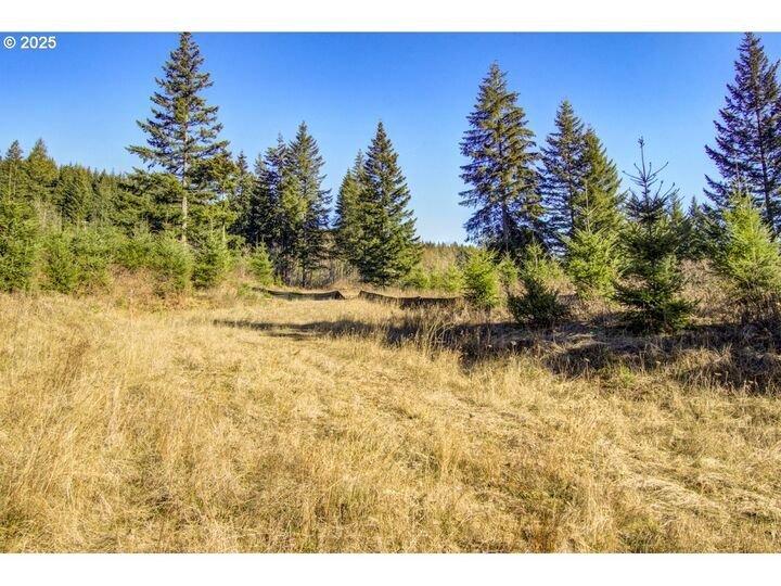 House in Camas, Washington, United States 5 - 17635464
