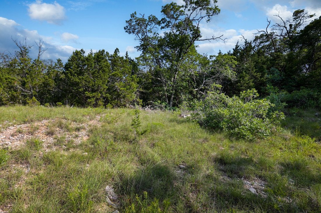 House in San Antonio, Texas, United States 1 - 17636181