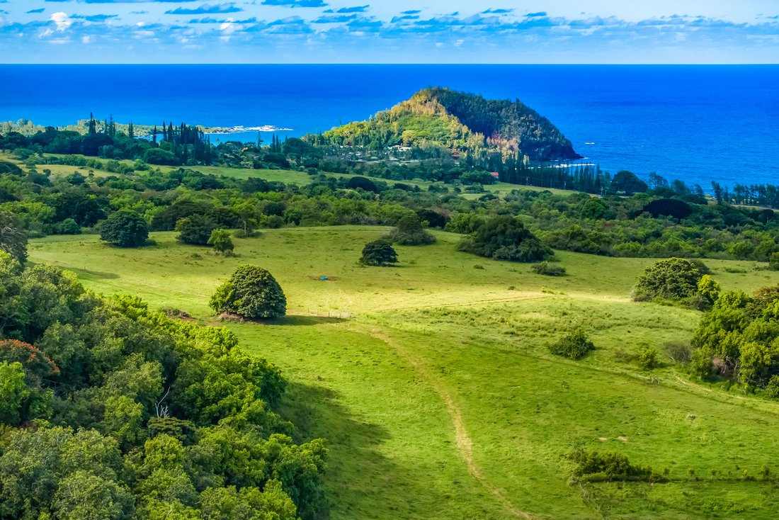 House in Hana, Hawaii, United States 5 - 16842542