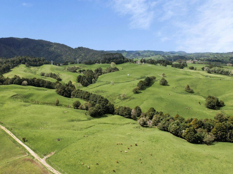 Country House in Taipuha, Northland, New Zealand 5 - 17637627