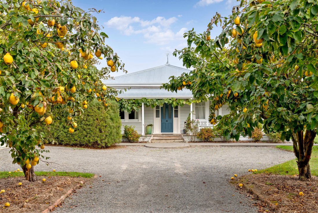 House in Dyerville, Wellington, New Zealand 1 - 17630675