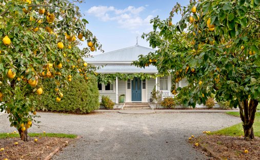 Maison à Dyerville, Wellington, Nouvelle-Zélande 1