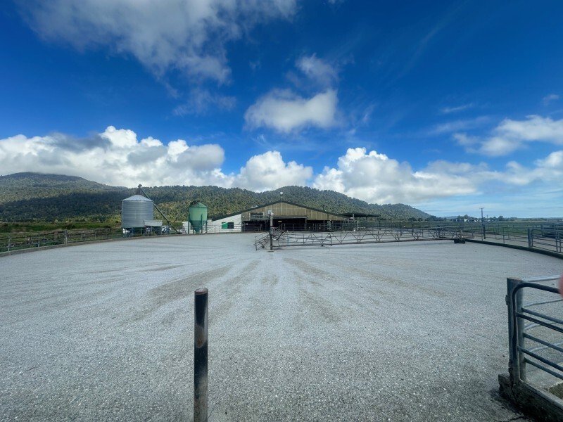 Country House in Waiho, West Coast, New Zealand 3 - 17637369