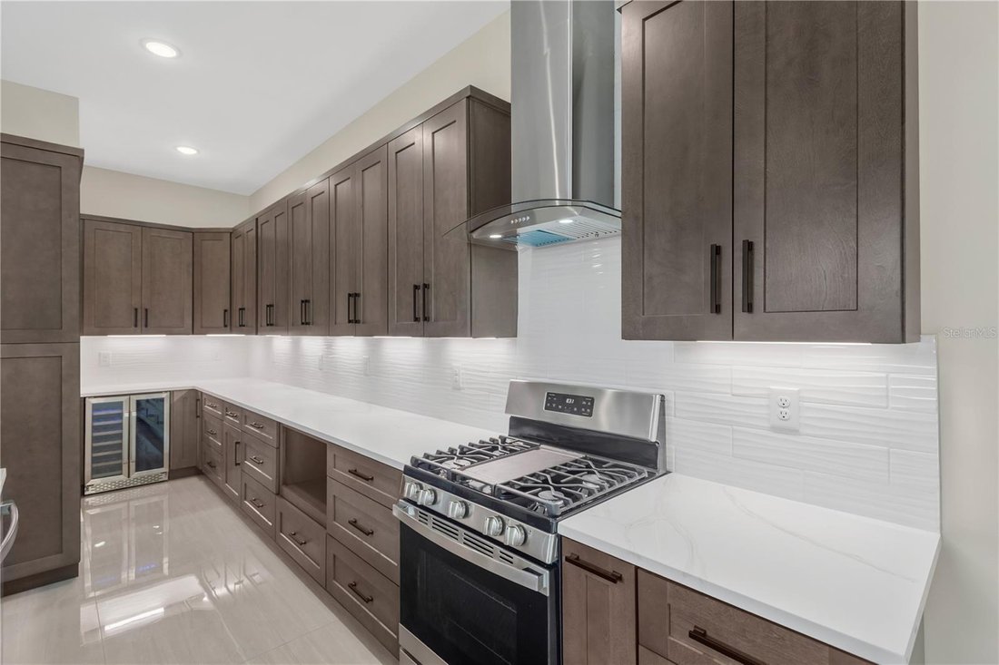 House in Tampa, Florida, United States 4 - 17632820