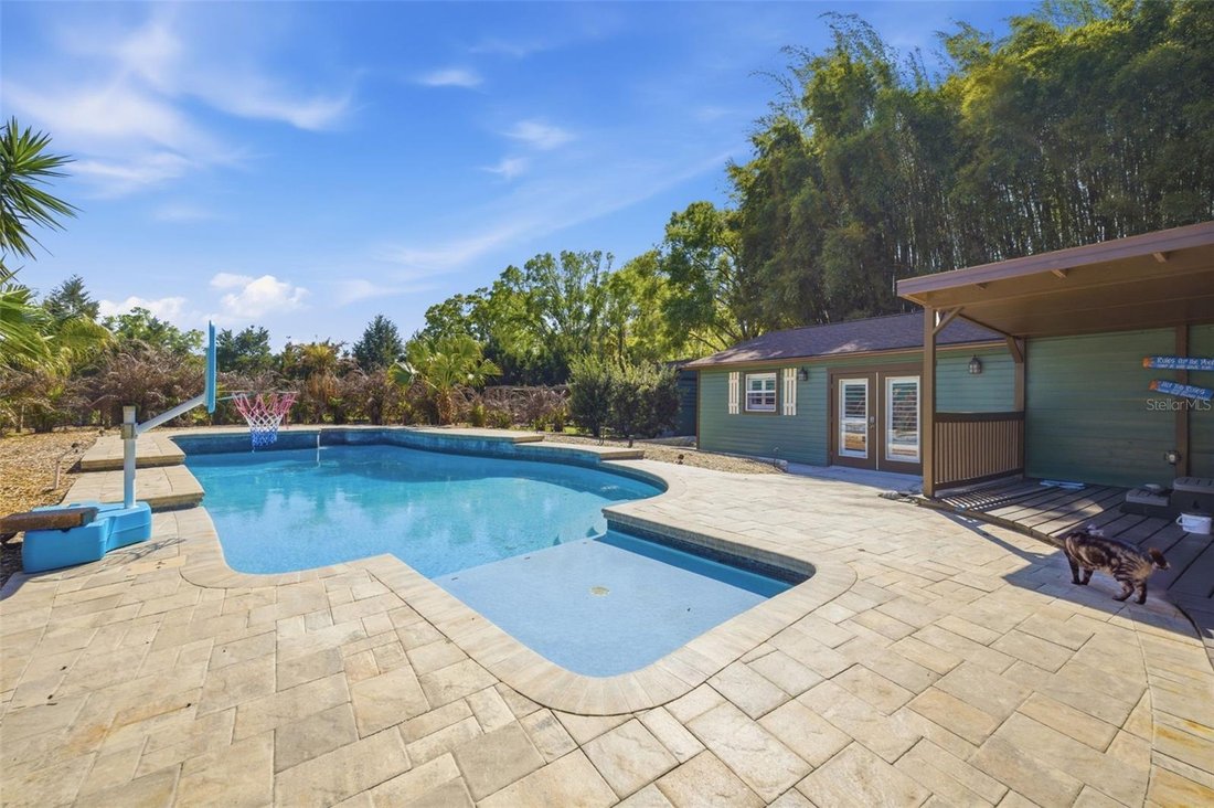 House in Tarpon Springs, Florida, United States 3 - 17628606