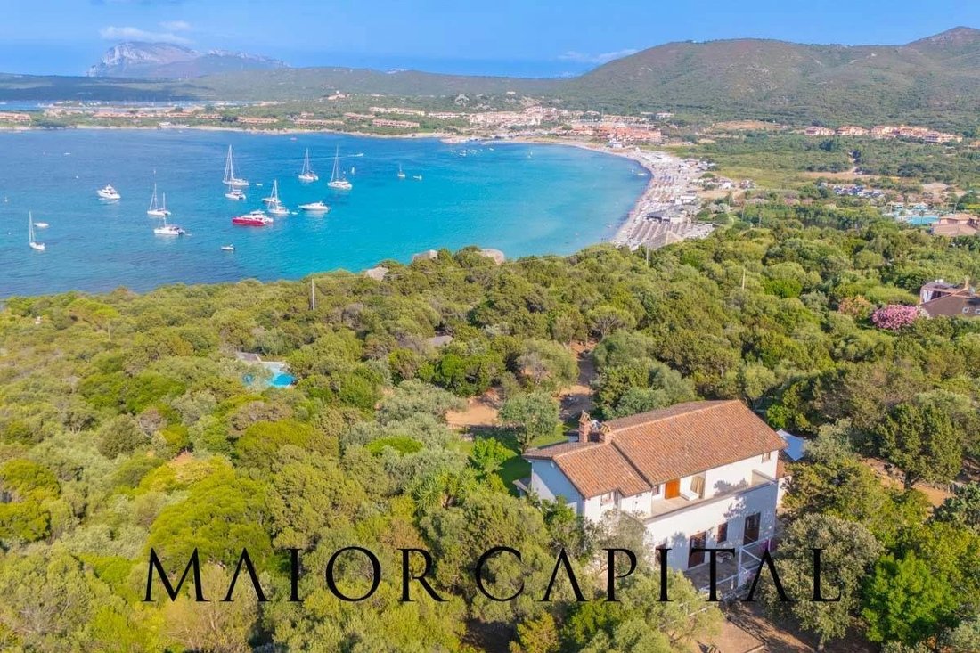 House in Porto Rotondo, Olbia, Sardinia 3 - 17637788