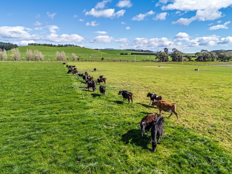 Country House in Otaio, Canterbury, New Zealand 2 - 17637576