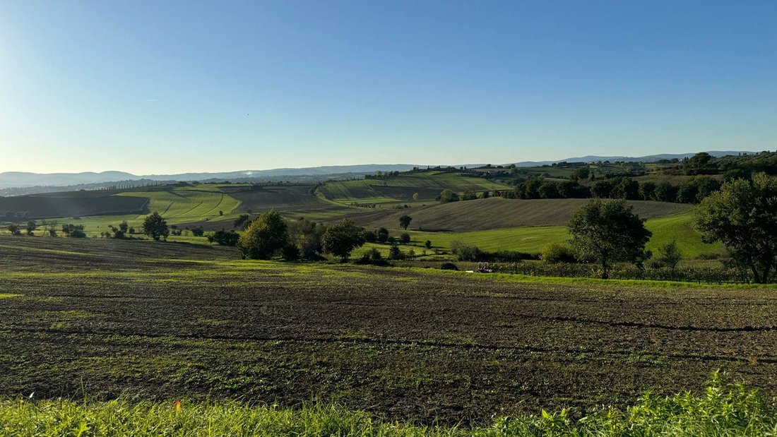 Country House in Center, Cortona, Tuscany 3 - 17633755