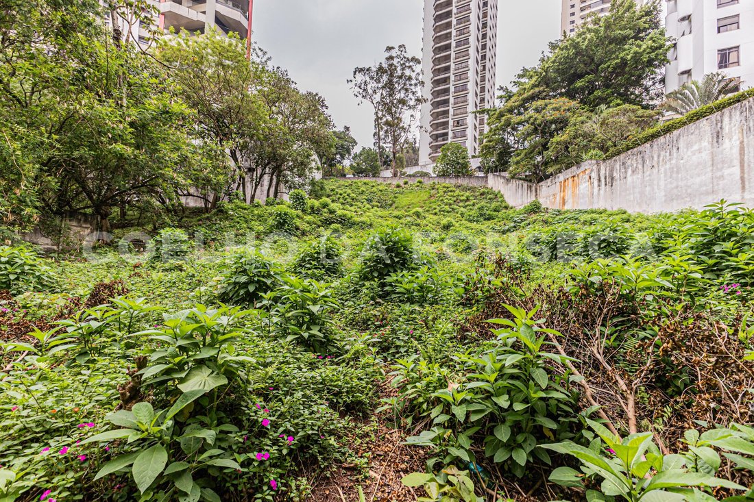 House in São Paulo, State of São Paulo, Brazil 3 - 17636121