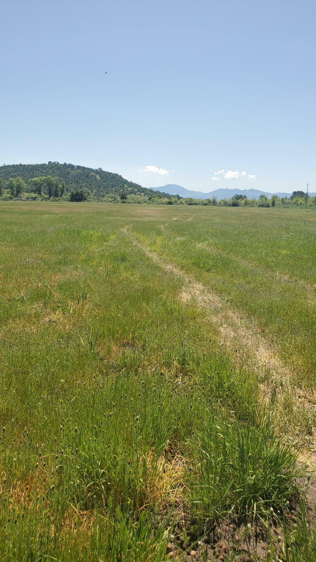 Terreno en Medford, Oregón, Estados Unidos 2 - 17637168