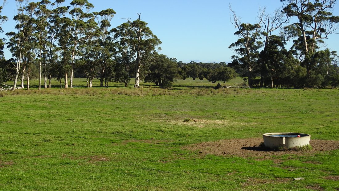 Country House in Forest Grove, Western Australia, Australia 1 - 17635886