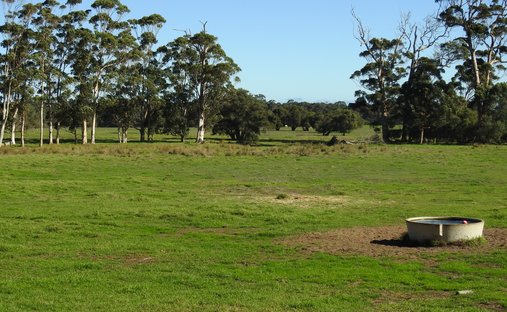 Country House in Forest Grove, Western Australia, Australia 1