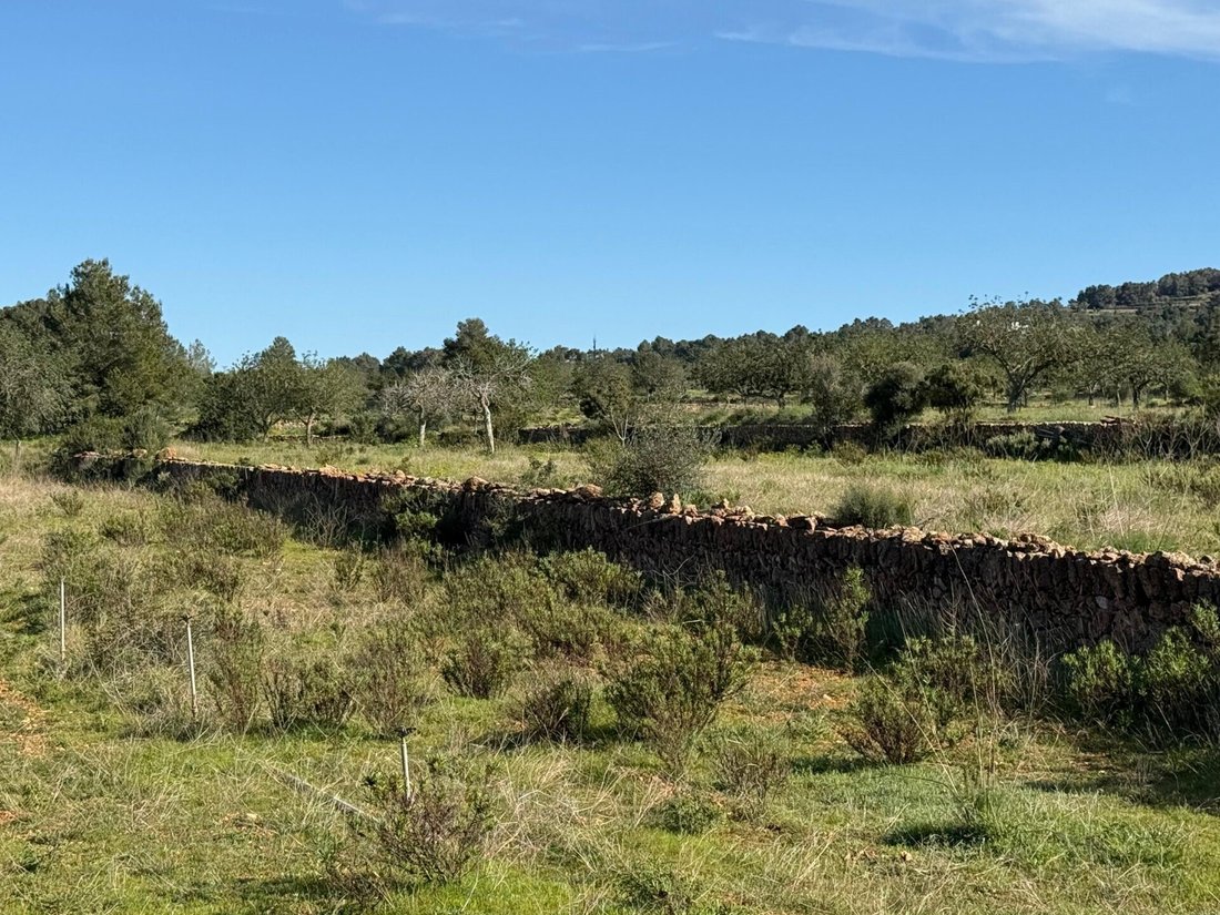 Land in Sant Rafel de sa Creu, Sant Antoni de Portmany, Balearic Islands 4 - 17630019
