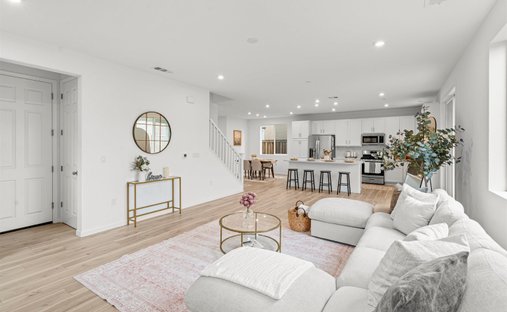 House in Manteca, California, United States 1