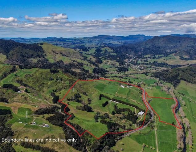 Country House in Karangahake, Waikato, New Zealand 1 - 17637406