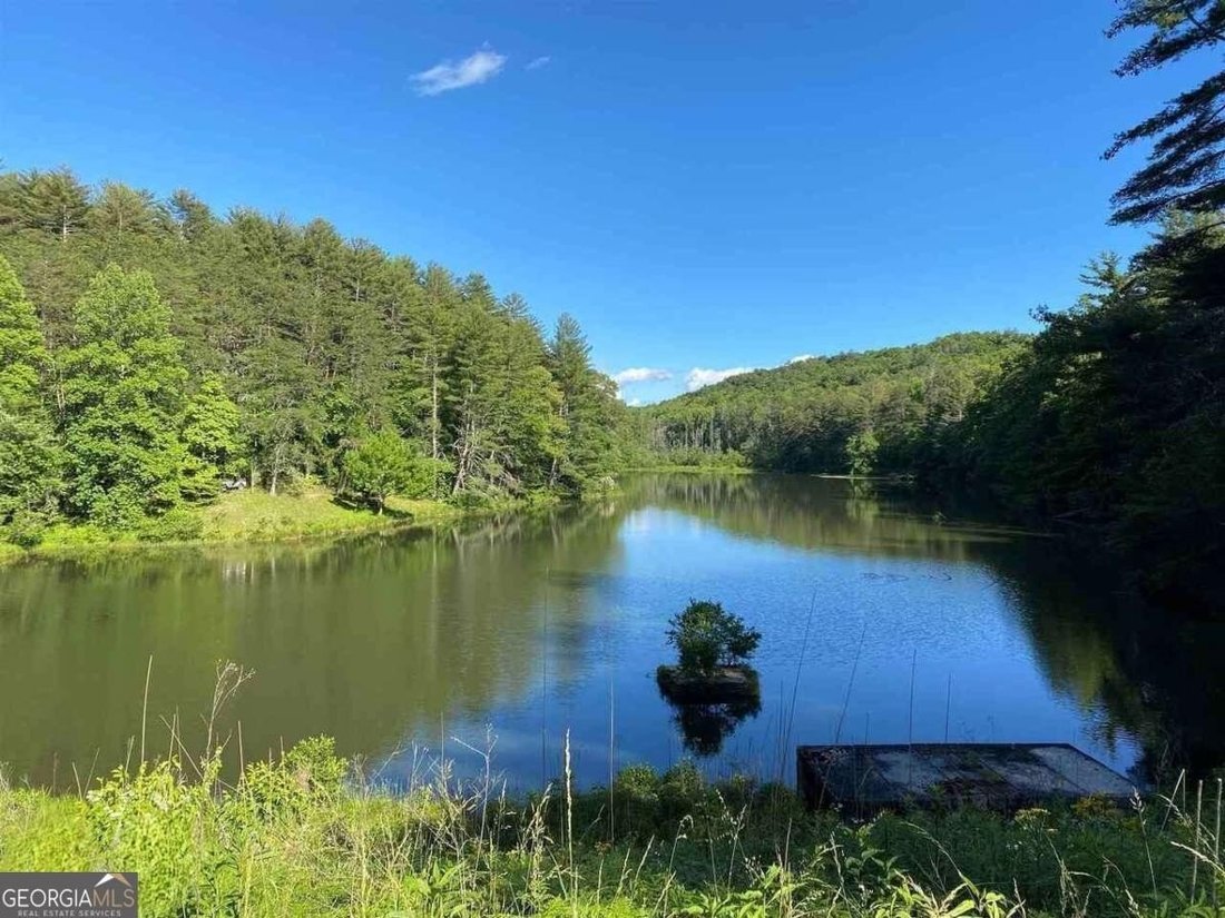 Land in Clarkesville, Georgia, United States 4 - 17635745