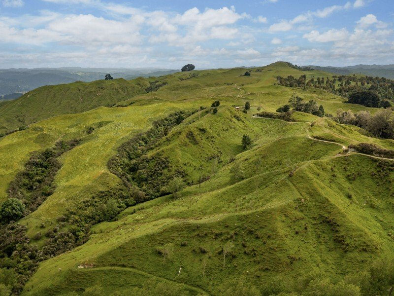 Country House in Mangamahu, Manawatu-Wanganui, New Zealand 5 - 17638428