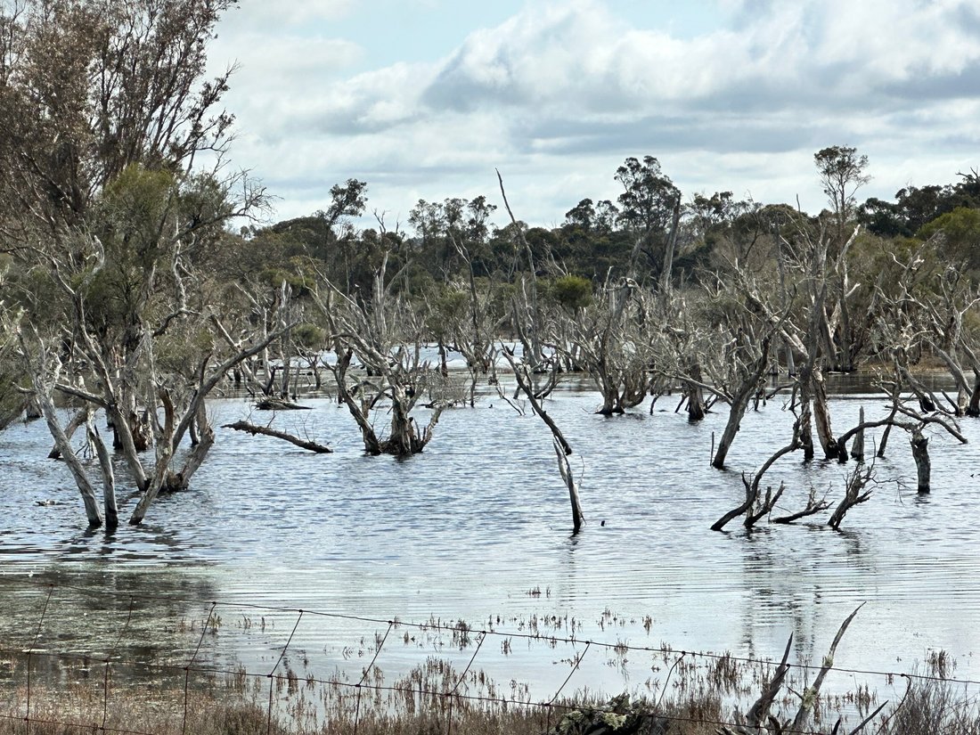 Country House in Frankland River, Western Australia, Australia 3 - 17635933